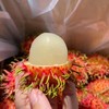 海南保亭直送-7号红毛丹 清甜多汁 吃多不上火的另一种“荔枝” 培育红毛丹20年-山丹丹果园出品 商品缩略图7