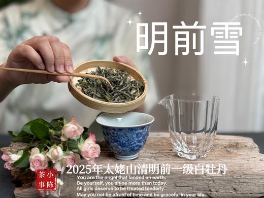 【新茶上市】2025清明前白牡丹《明前雪》，绮丽梦幻的兰花香，伴着极致清新的鲜爽，仿佛在那个倒春寒的季节，下了一场芬芳的雪 商品图7