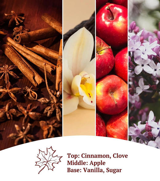 “点燃它治愈你”！法国高端CHAMのBERY香薰蜡烛~！ 商品图9