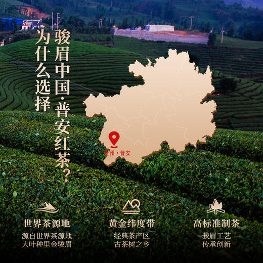 正山堂 普安红·曦 贵州大叶种红茶骏眉中国正宗茶叶罐装自饮送礼 商品图2