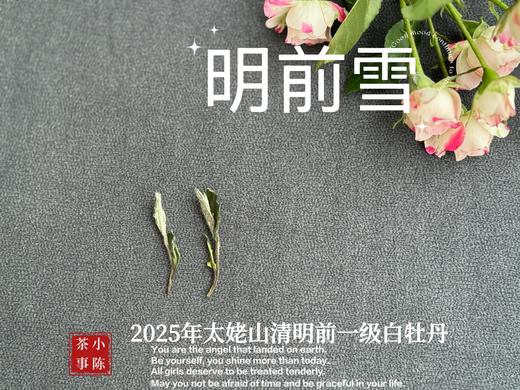 【新茶上市】2025清明前白牡丹《明前雪》，绮丽梦幻的兰花香，伴着极致清新的鲜爽，仿佛在那个倒春寒的季节，下了一场芬芳的雪 商品图5