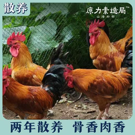 鸡鸭新春礼盒（老饕级） 商品图5