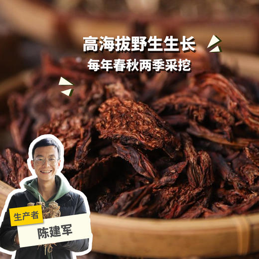 野生丹参（切片） | 合作生产*Wild Salvia Miltiorrhiza | Coproduction 商品图0