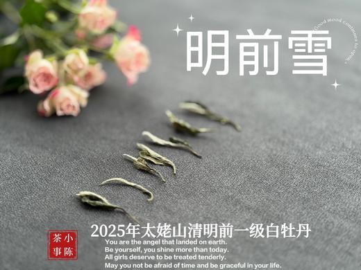 【新茶上市】2025清明前白牡丹《明前雪》，绮丽梦幻的兰花香，伴着极致清新的鲜爽，仿佛在那个倒春寒的季节，下了一场芬芳的雪 商品图3