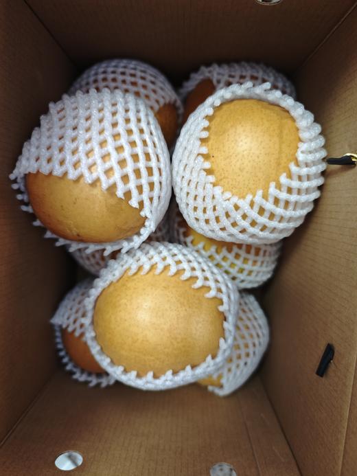 永新蜜梨12个装套袋果清甜多汁新鲜直达 商品图3