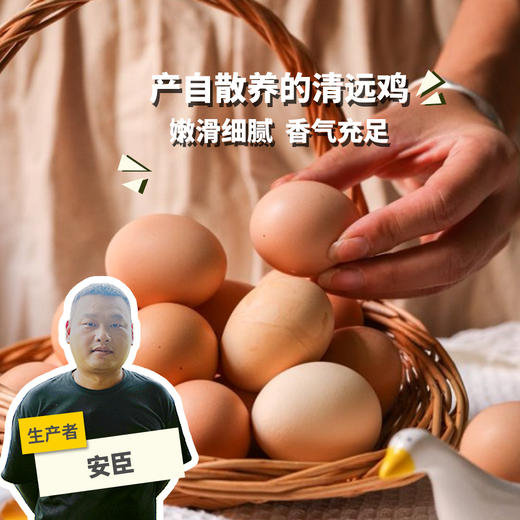 生态初生鸡蛋30枚装 | 绿家自产* Eco- egg | Self-production 商品图0