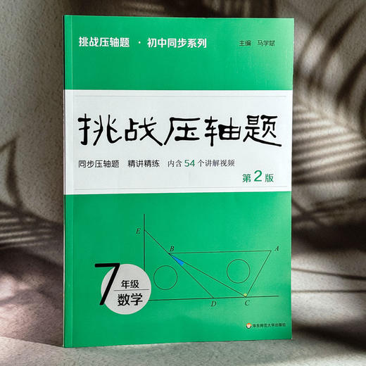 挑战压轴题 数学 7年级 第2版  商品图3