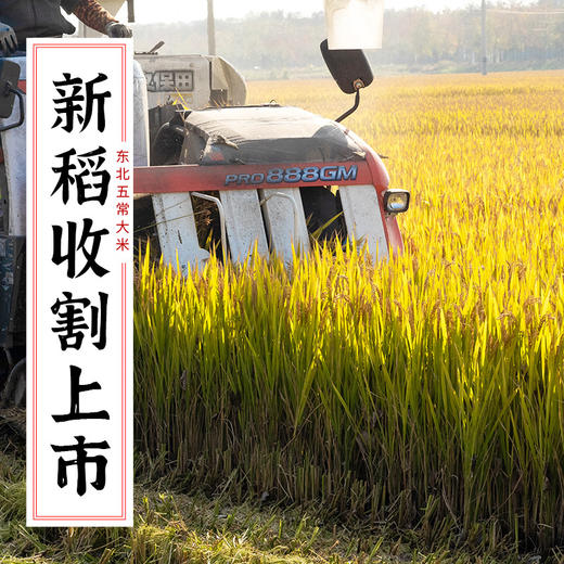 【五常长粒香大米，新米5斤、10斤装】东北五常大米、产地直发、执行标准GB/T19266 商品图4