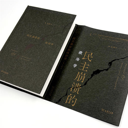 民主崩溃的政治学（精装版） 商品图4