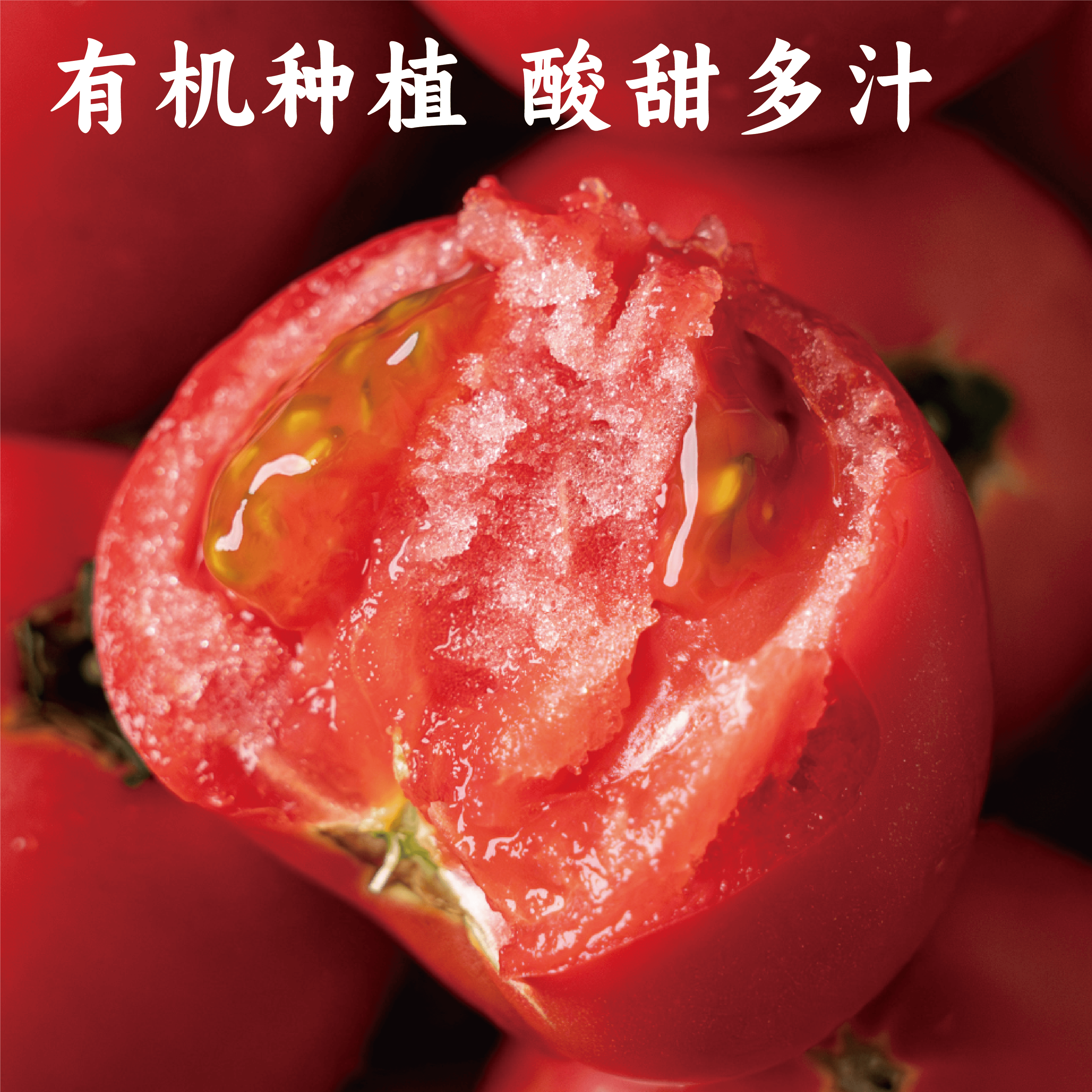 【同行精选】有机老品种西红柿3斤/4.5斤   籽粒饱满  味道浓郁   酸甜可口（适合做菜）