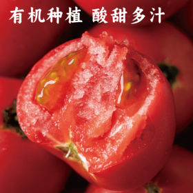 【同行精选】有机老品种西红柿3斤/4.5斤   籽粒饱满  味道浓郁   酸甜可口（适合做菜）