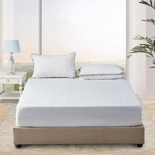 【春上新】10楼 安睡宝 卡吉特床笠款三防床护垫 150*200*35cm 吊牌价999元 活动价299元 商品图0