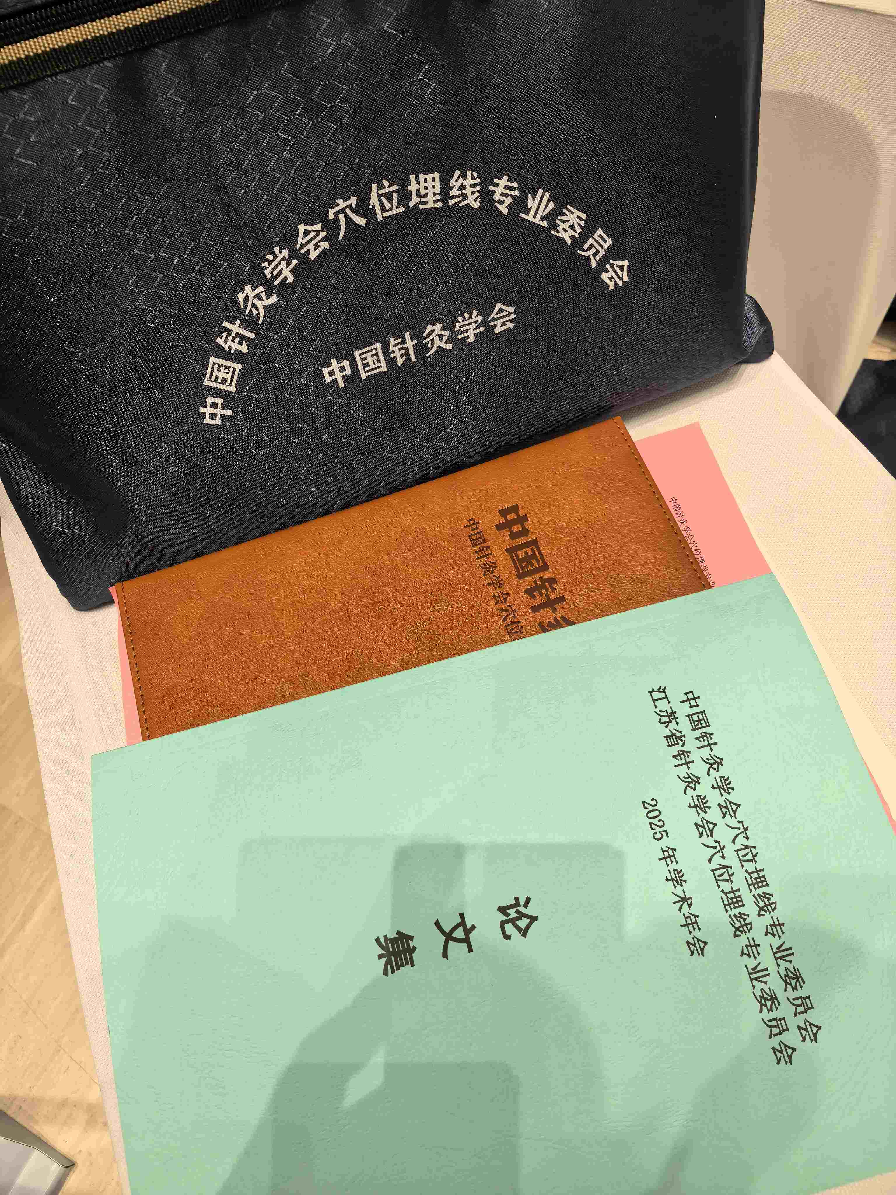 埋线年会论文集资料（分类：埋线书籍））