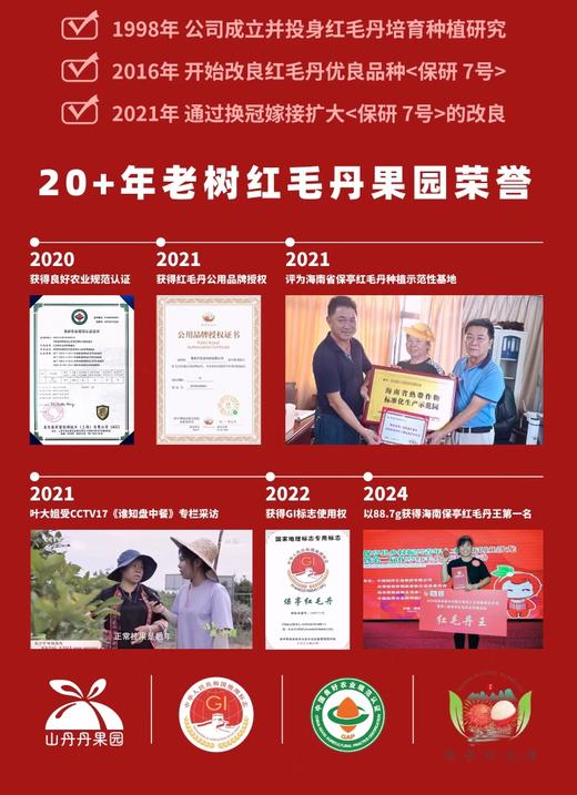 海南保亭直送-7号红毛丹 清甜多汁 吃多不上火的另一种“荔枝” 培育红毛丹20年-山丹丹果园出品 商品图6