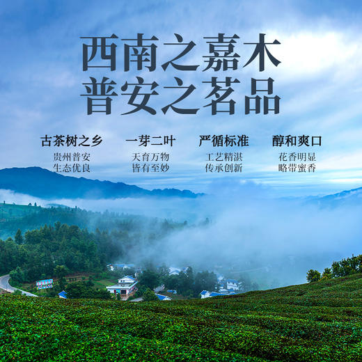 正山堂 普安红·斓 骏眉中国正宗贵州大叶种红茶茶叶罐装自饮送礼 商品图3
