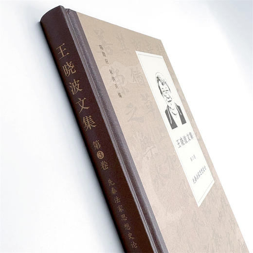 王晓波文集(第3卷)：先秦法家思想史论 商品图4