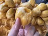 海南三亚直发 大叶黄榴莲蜜 精品榴莲蜜 20年以上老树，专做老树果 商品缩略图8