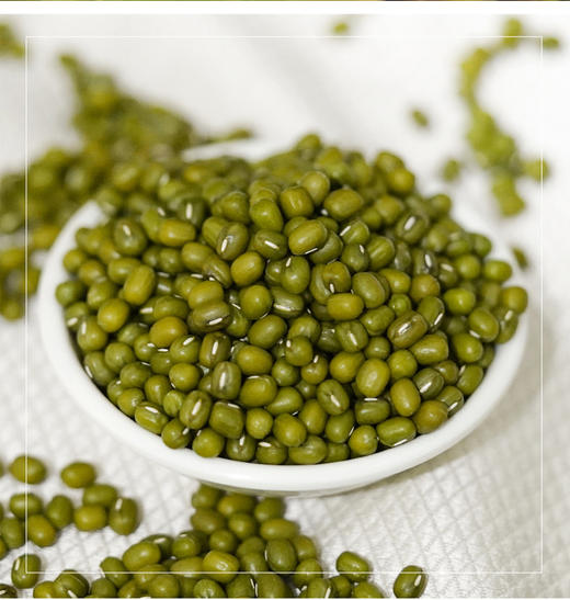 【五谷杂粮】桃花峁陕西米脂大明绿豆塑料袋2.5kg农家绿豆自种 商品图4