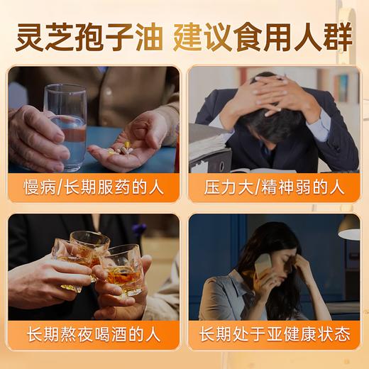 【畅销17年】元生泰牌灵芝孢子油软胶囊0.5g*24粒保肝护肝礼盒 萃取破壁灵芝孢子粉精华中老年人营养滋补保健品 商品图2