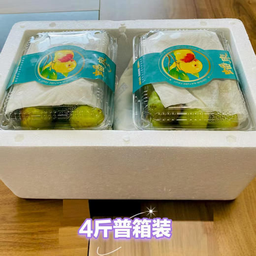 【云南新鲜蟠枣】EMS空运 薄皮蟠枣 脆甜爽口 皮薄肉厚 甘甜清香 口感脆甜 冷藏后口感更佳 4种规格任选 商品图9