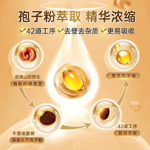 【畅销17年】元生泰牌灵芝孢子油软胶囊0.5g*24粒保肝护肝礼盒 萃取破壁灵芝孢子粉精华中老年人营养滋补保健品 商品图3