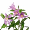 配花 | 铁线莲蓝色河流 商品缩略图1