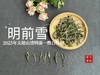 【新茶上市】2025清明前白牡丹《明前雪》，绮丽梦幻的兰花香，伴着极致清新的鲜爽，仿佛在那个倒春寒的季节，下了一场芬芳的雪 商品缩略图2