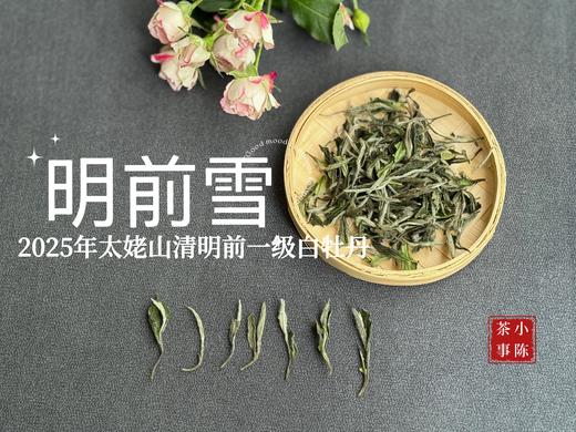 【新茶上市】2025清明前白牡丹《明前雪》，绮丽梦幻的兰花香，伴着极致清新的鲜爽，仿佛在那个倒春寒的季节，下了一场芬芳的雪 商品图2