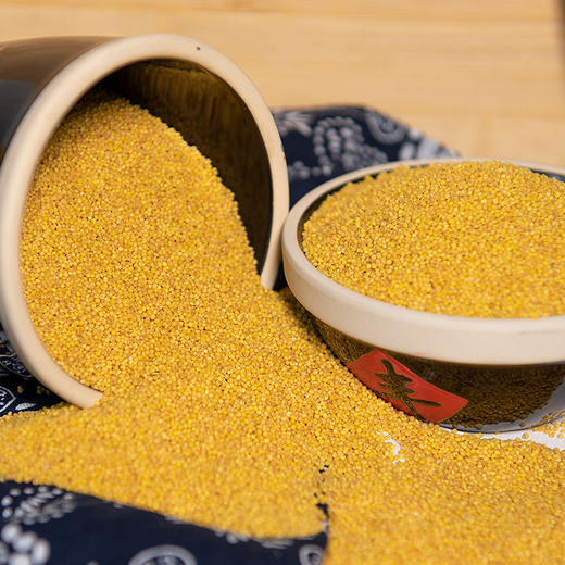 【米脂小米】桃花峁米脂黄小米经济实惠5斤装 商品图1