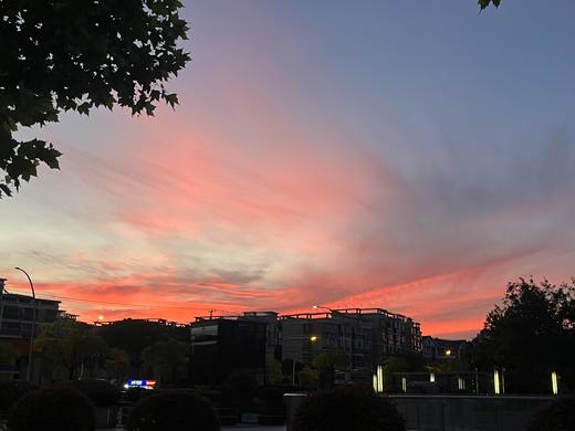 WeCycle大宁久光｜10.30长风公园晨骑 商品图3