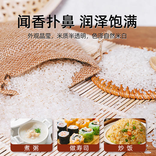 【陕北大米】桃花峁纯香大米真空包装陕北鱼河大米2.5kg 商品图4