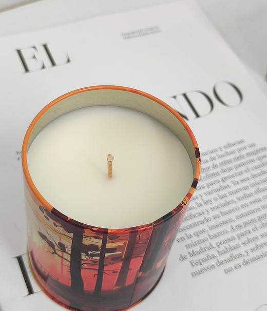 “点燃它治愈你”！法国高端CHAMのBERY香薰蜡烛~！ 商品图14