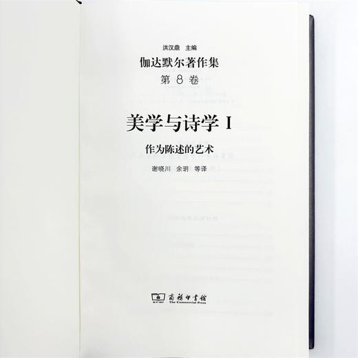 伽达默尔著作集(第8卷) 商品图4