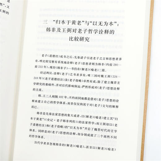 王晓波文集(第4卷)：道与法－－法家思想和黄老哲学解析 商品图8