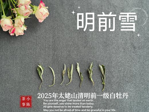 【新茶上市】2025清明前白牡丹《明前雪》，绮丽梦幻的兰花香，伴着极致清新的鲜爽，仿佛在那个倒春寒的季节，下了一场芬芳的雪 商品图3