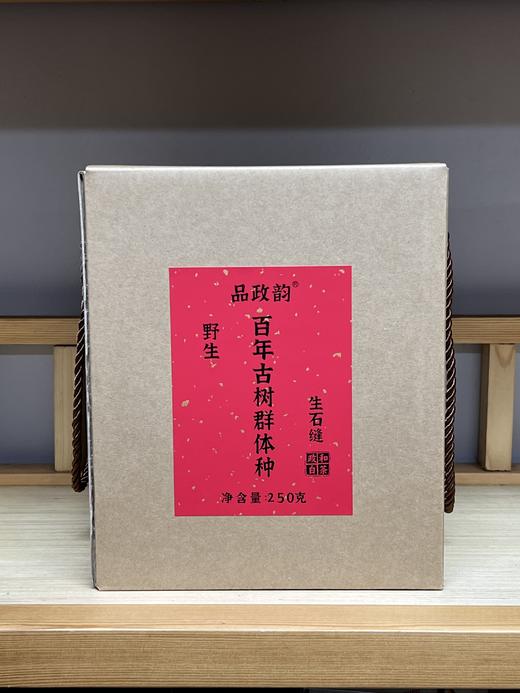 【量少】品政韵（原添寿白茶）丨百年古树种 生石缝 群体种野生 贡眉 政和白茶 2023年 50g/250g/2.5kg 商品图5