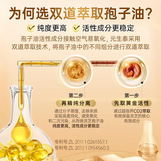 【畅销17年】元生泰牌灵芝孢子油软胶囊0.5g*24粒保肝护肝礼盒 萃取破壁灵芝孢子粉精华中老年人营养滋补保健品 商品图4