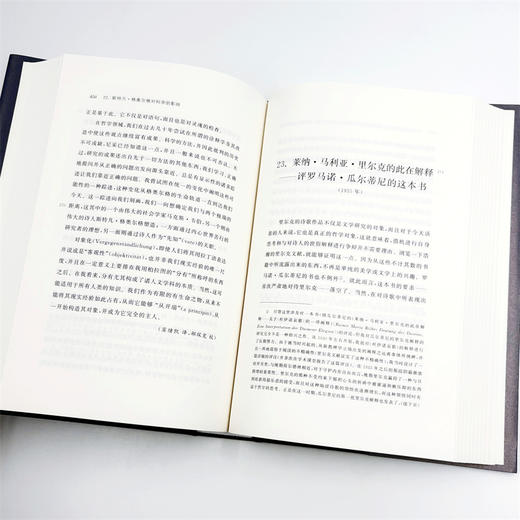 伽达默尔著作集(第9卷) 商品图6