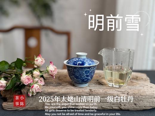 【新茶上市】2025清明前白牡丹《明前雪》，绮丽梦幻的兰花香，伴着极致清新的鲜爽，仿佛在那个倒春寒的季节，下了一场芬芳的雪 商品图11