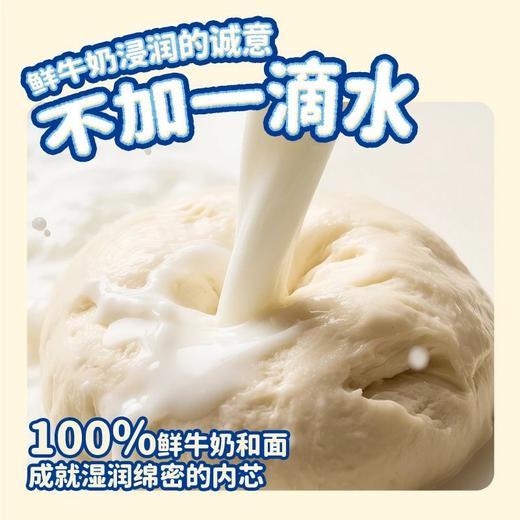 一只小叉叉黄油云朵吐司500g早餐搞点面包整箱零食休闲办公室糕点 商品图2