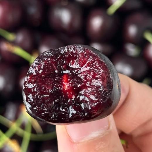 石家庄优选仓库速达，海运车厘子-桑提娜3J，果肉紧实脆硬，色泽浓郁，果肉饱满多汁，口感脆爽， 5斤礼盒装 商品图1