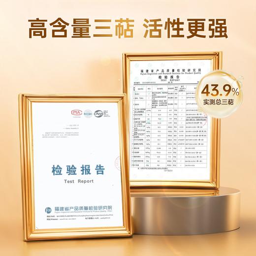 【畅销17年】元生泰牌灵芝孢子油软胶囊 0.5g/粒*8粒/盒保肝护肝萃取破壁灵芝孢子粉精华 商品图3