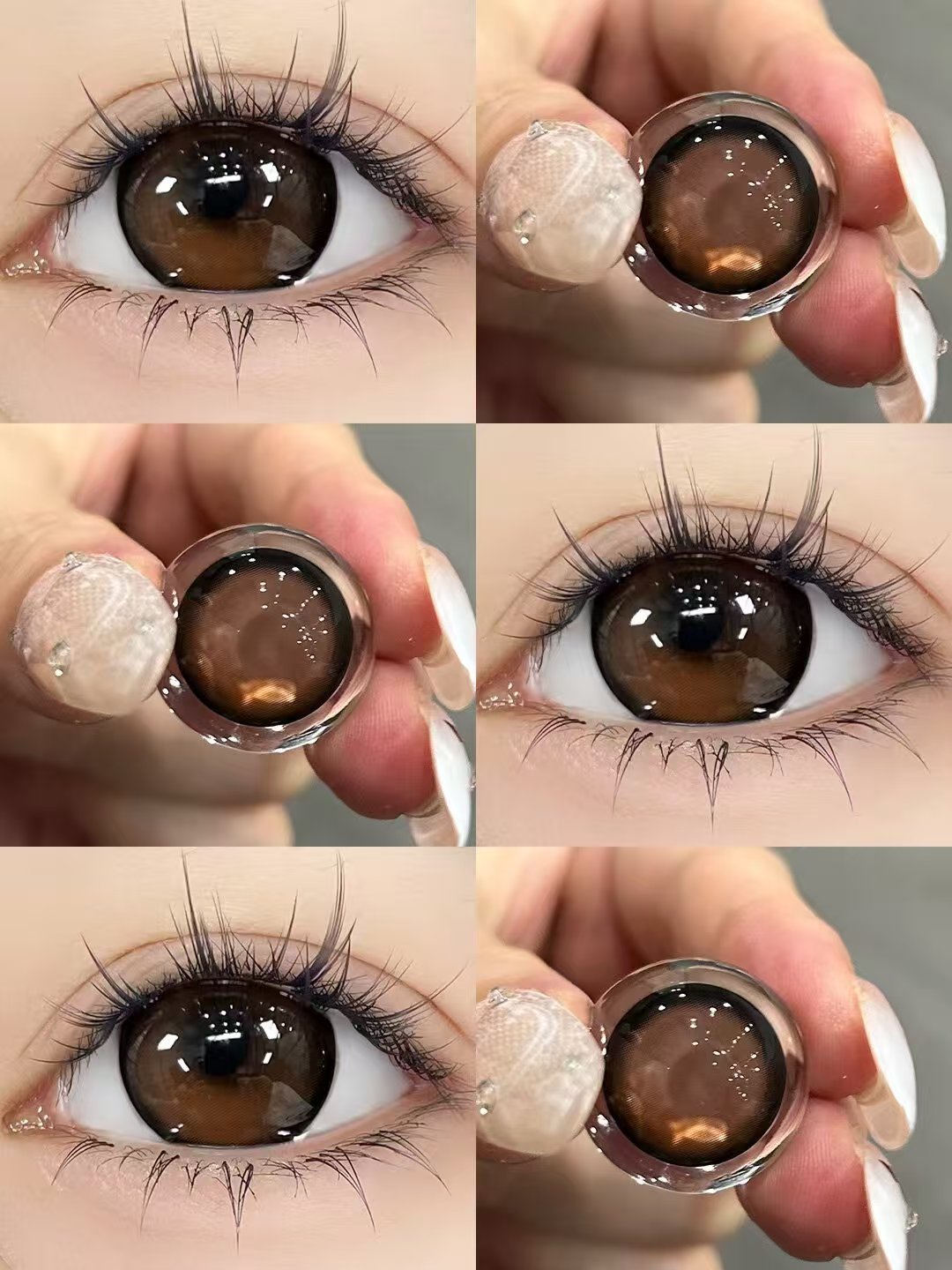 jelly doll半年抛美瞳 黄油板栗 14.5mm
