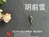 【新茶上市】2025清明前白牡丹《明前雪》，绮丽梦幻的兰花香，伴着极致清新的鲜爽，仿佛在那个倒春寒的季节，下了一场芬芳的雪 商品缩略图4