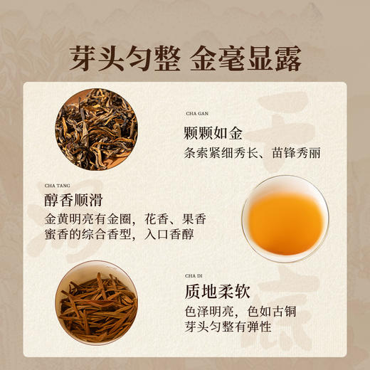 正山堂 普安红·曦 贵州大叶种红茶骏眉中国正宗茶叶罐装自饮送礼 商品图1