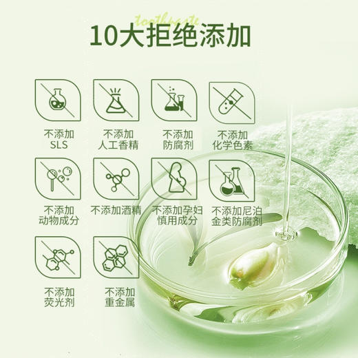 安姑娘植物洁白牙膏 PLA环保可降解牙刷 无香精无氟 美白氨基酸  纯素日用 植物基 0动物成分 0动物实验 [漳州仓] 商品图12