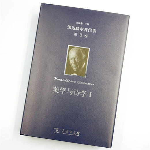 伽达默尔著作集(第8卷) 商品图1