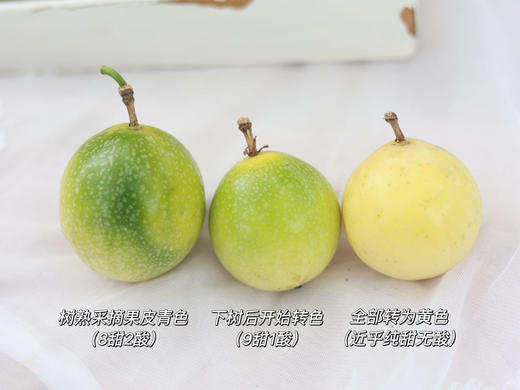 海南三亚直送 黄金百香果-大果/特大果钦蜜9号)  风味浓郁 香甜带一点点酸 彩盒/礼盒装/家庭装 商品图3