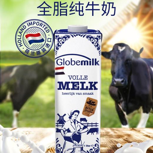 荷兰荷高全脂纯牛奶1L 商品图0