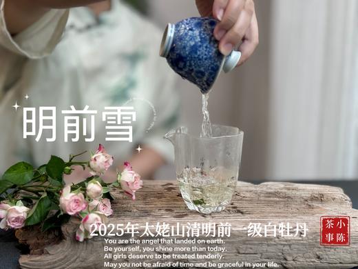 【新茶上市】2025清明前白牡丹《明前雪》，绮丽梦幻的兰花香，伴着极致清新的鲜爽，仿佛在那个倒春寒的季节，下了一场芬芳的雪 商品图9